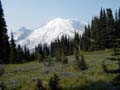 Mt. Rainier With Flowers