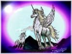 Two Unicorns